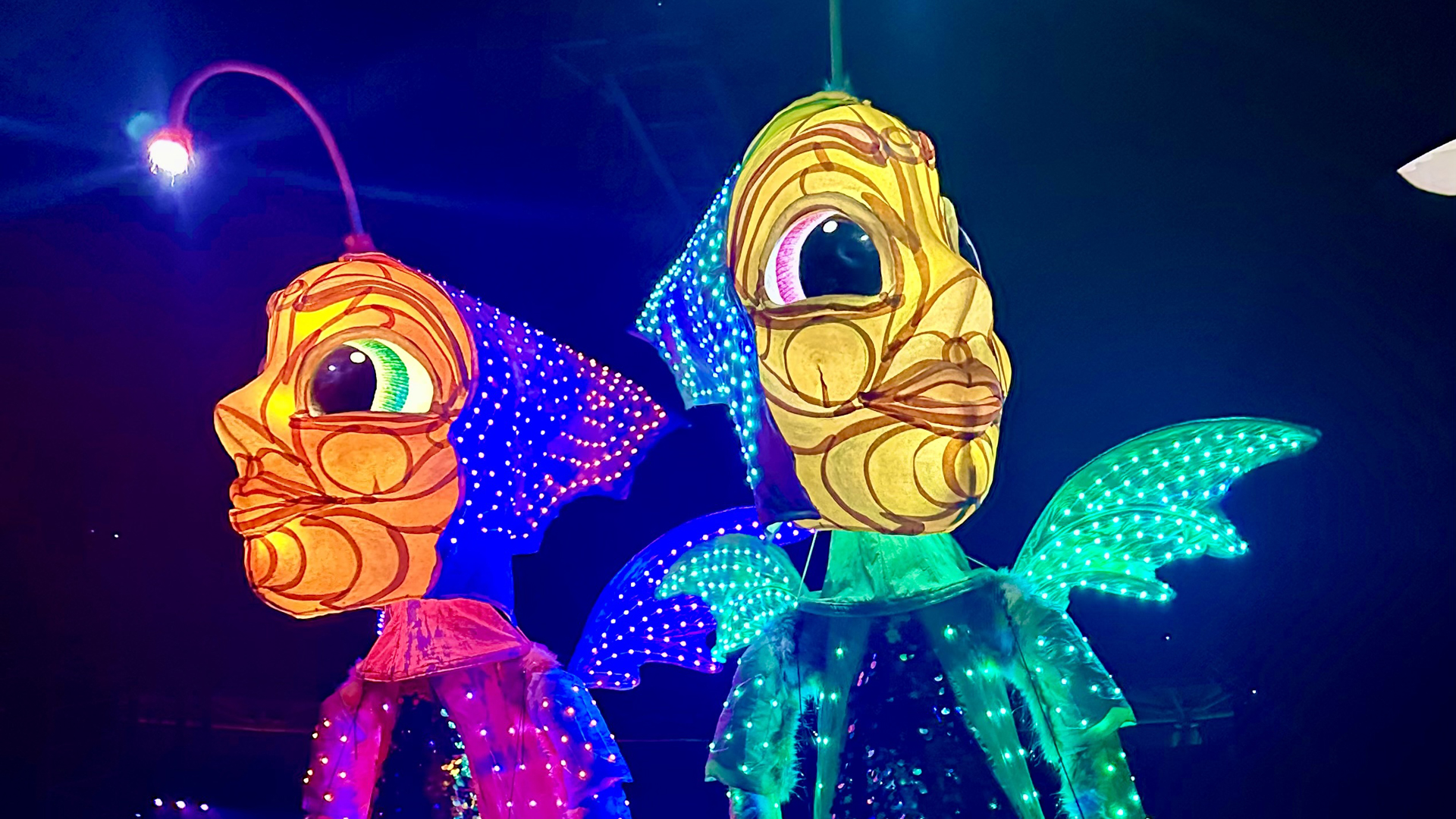 ODDISEA - WOW Festival 2025