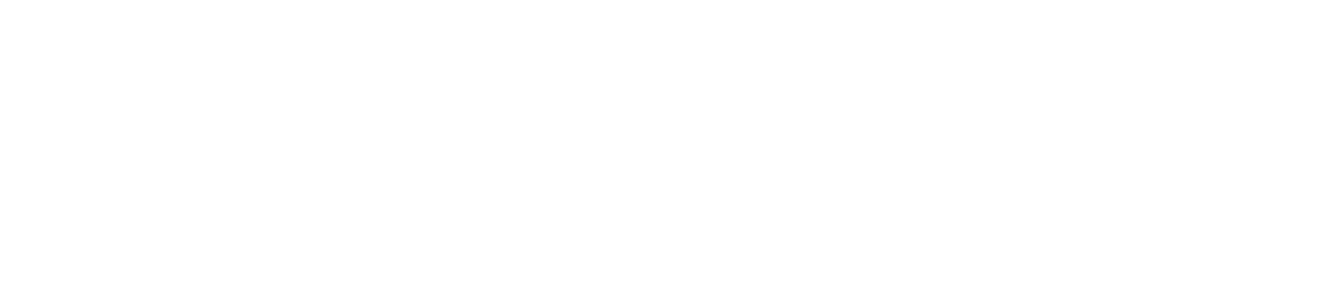 Show Imaging Logo